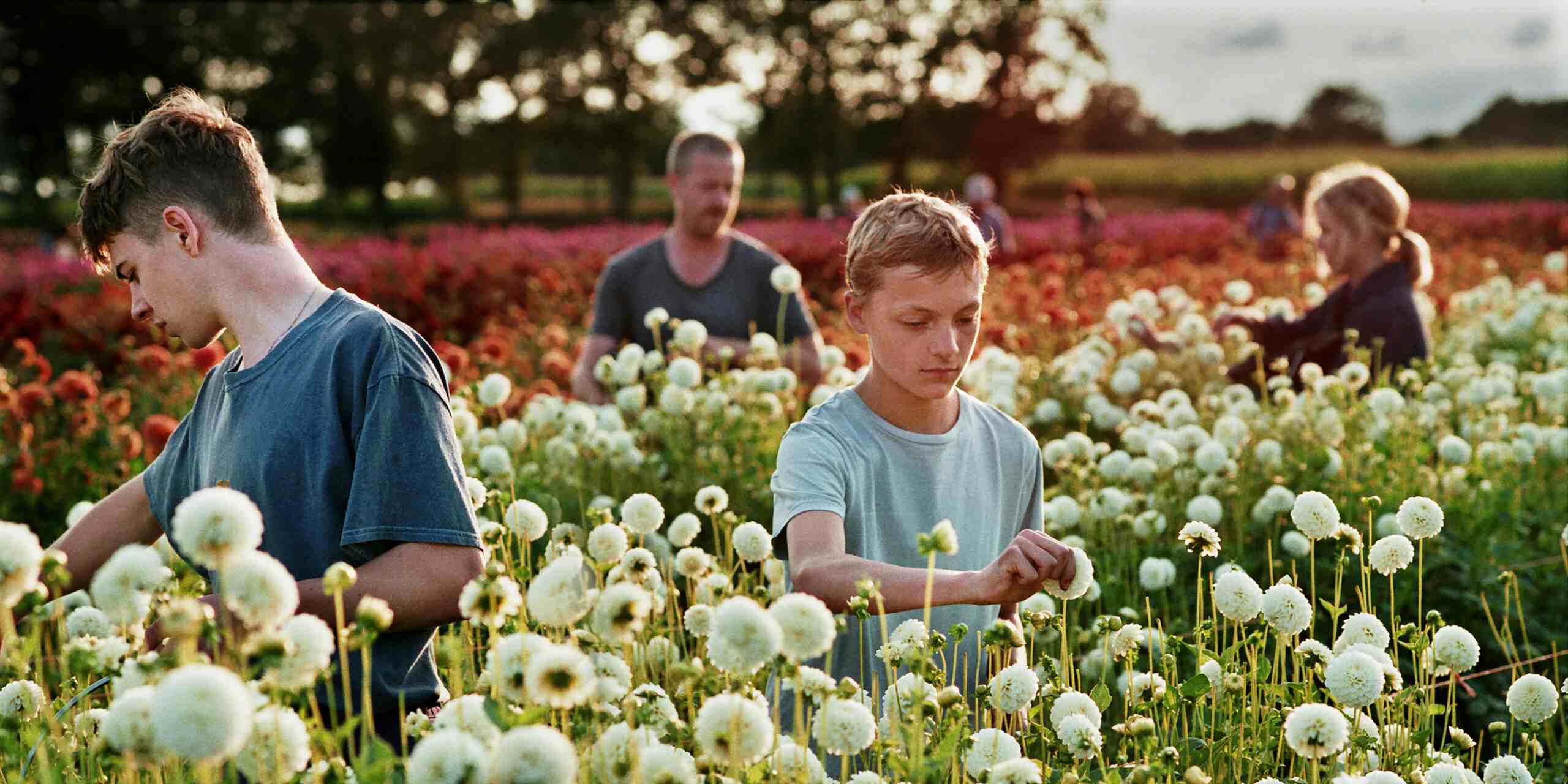 Hintergrundbild zu „Der Film“